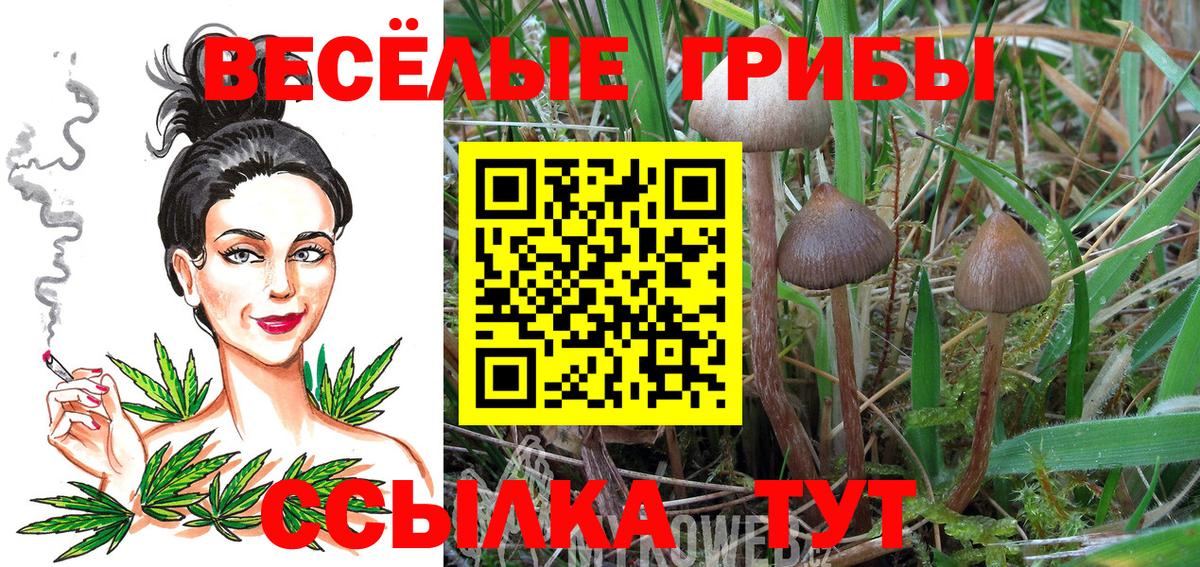 Галлюциногенные грибы Psilocybe Дюртюли