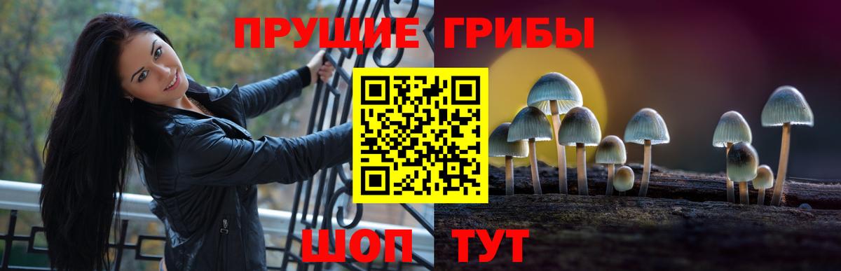 Псилоцибиновые грибы Magic Shrooms  Псилоцибиновые грибы Cubensis  Вход с VPN  Дюртюли 